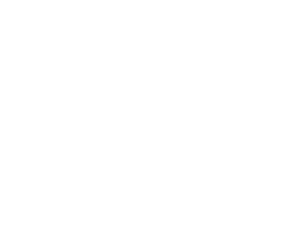 Nissan GTP ZX-T logo